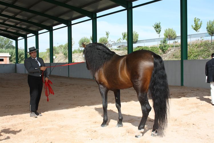 Finca met horse te koop in Javea